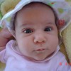 Imagen de Morales