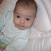 Imagen de Mora